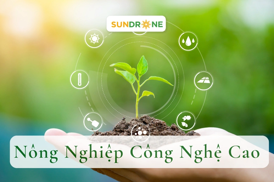 Nông nghiệp công nghệ cao là gì? 5 Mô hình hiệu quả tại Việt Nam