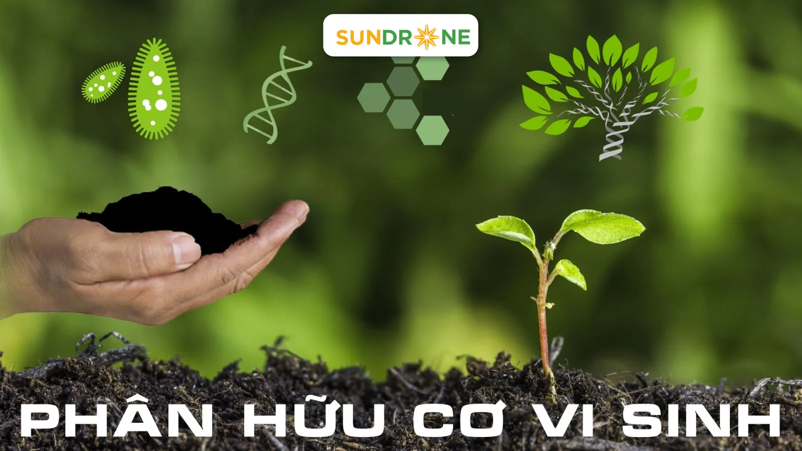 Nông sản hữu cơ
