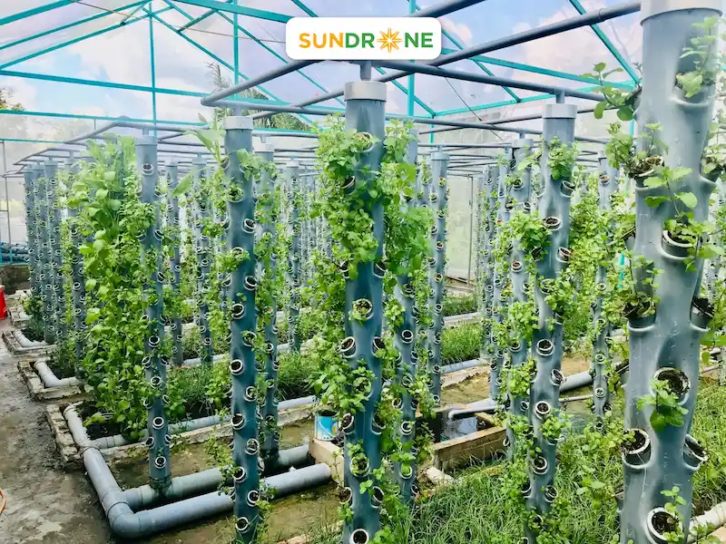 Mô hình nông nghiệp công nghệ cao