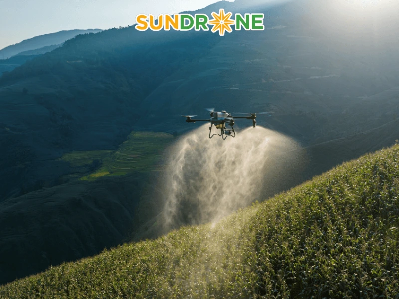 So sánh DJI Agras T25P với các dòng khác (T20P, T30, T40)
