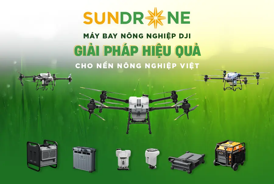 sundrone