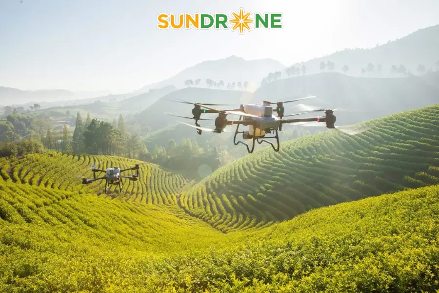 pin DJI T25