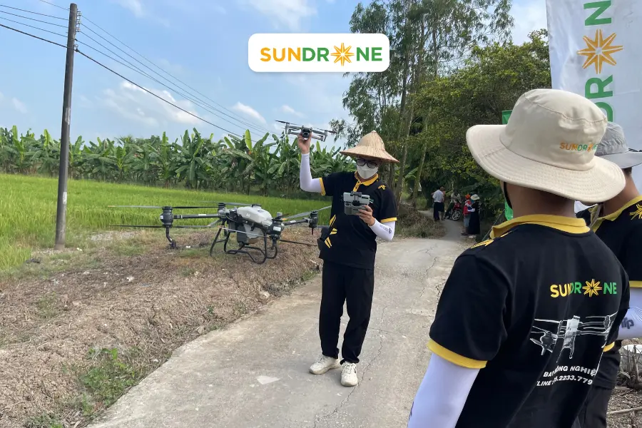 sundrone