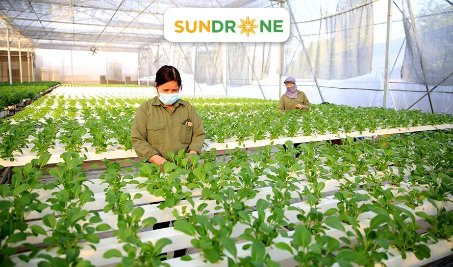 Canh tác hữu cơ