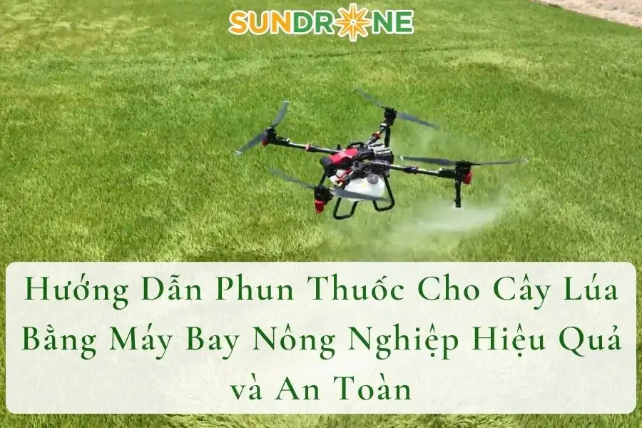 Hướng Dẫn Phun Thuốc Cho Cây Lúa Bằng Máy Bay Nông Nghiệp Hiệu Quả và An Toàn
