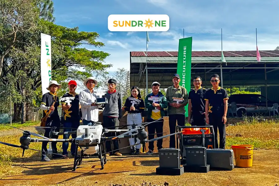 sundrone
