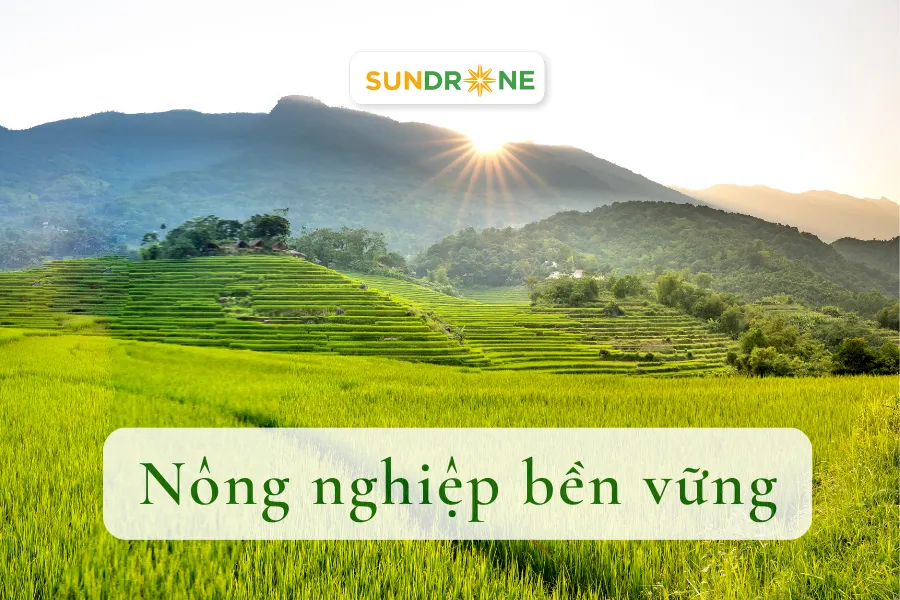 Nông Nghiệp Bền Vững Là Gì? Lợi Ích Của Nông Nghiệp Bền Vững