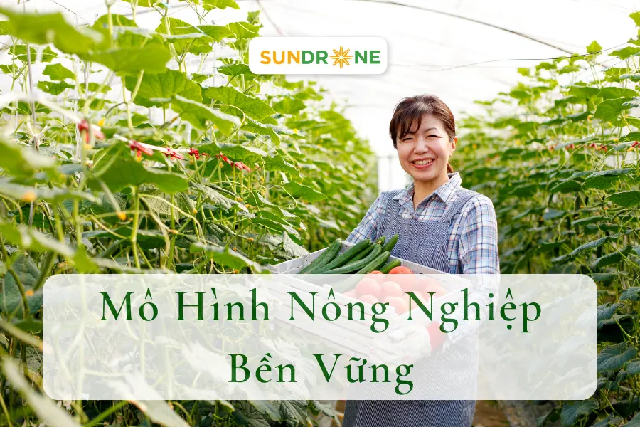 3 Mô Hình Nông Nghiệp Bền Vững Mang Lại Hiệu Quả Kinh Tế Cao