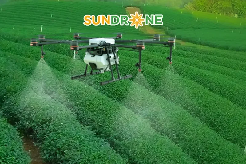 Các lỗi thường gặp khi sạ lúa bằng máy bay và cách khắc phục