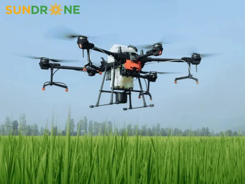 Thời hạn và lưu ý trong quy trình cấp phép