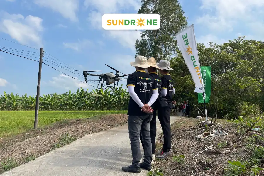 sundrone