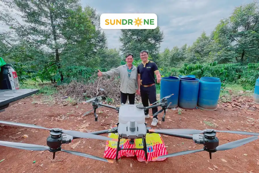sundrone