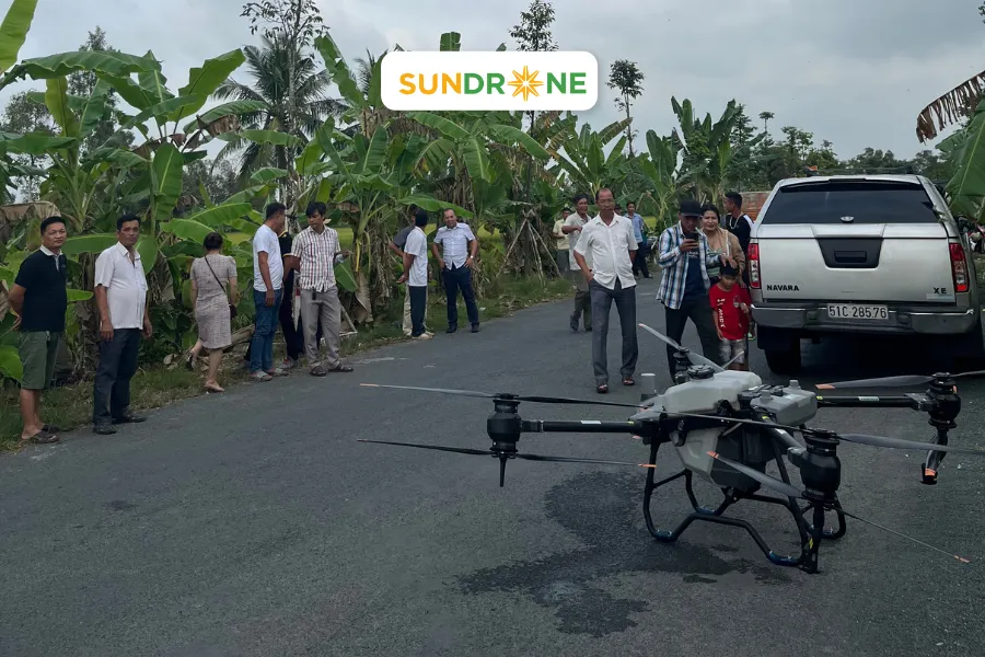 sundrone