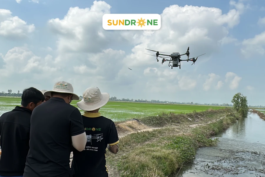 sundrone