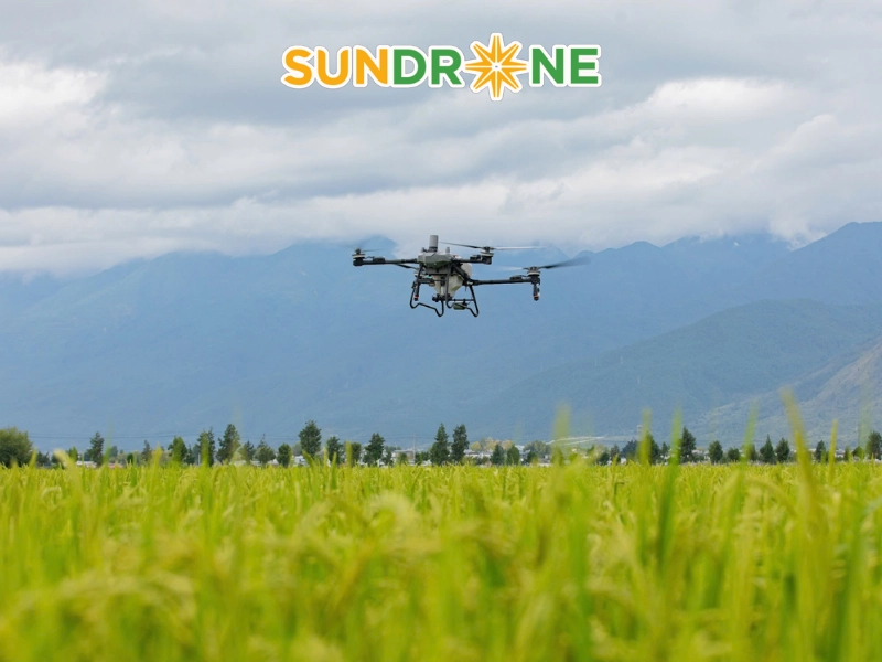 DJI Agras T70P phục vụ các trang trại siêu lớn