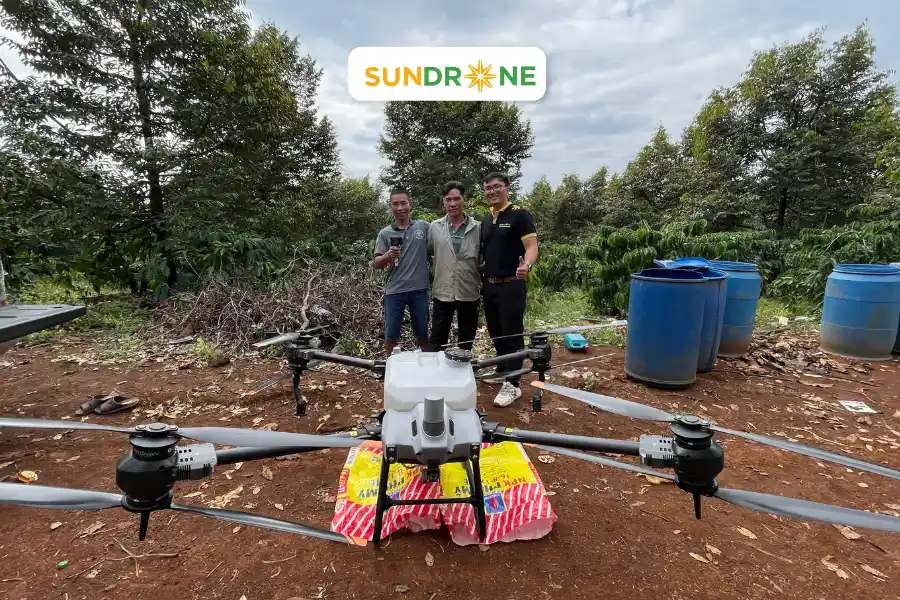 sundrone