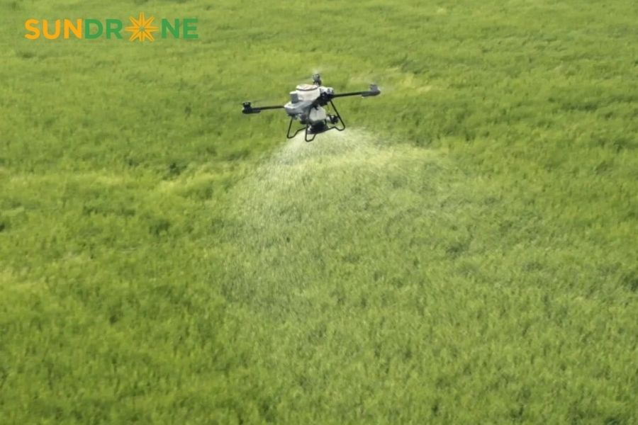 Có nên đầu tư máy bay phun thuốc trừ sâu không?