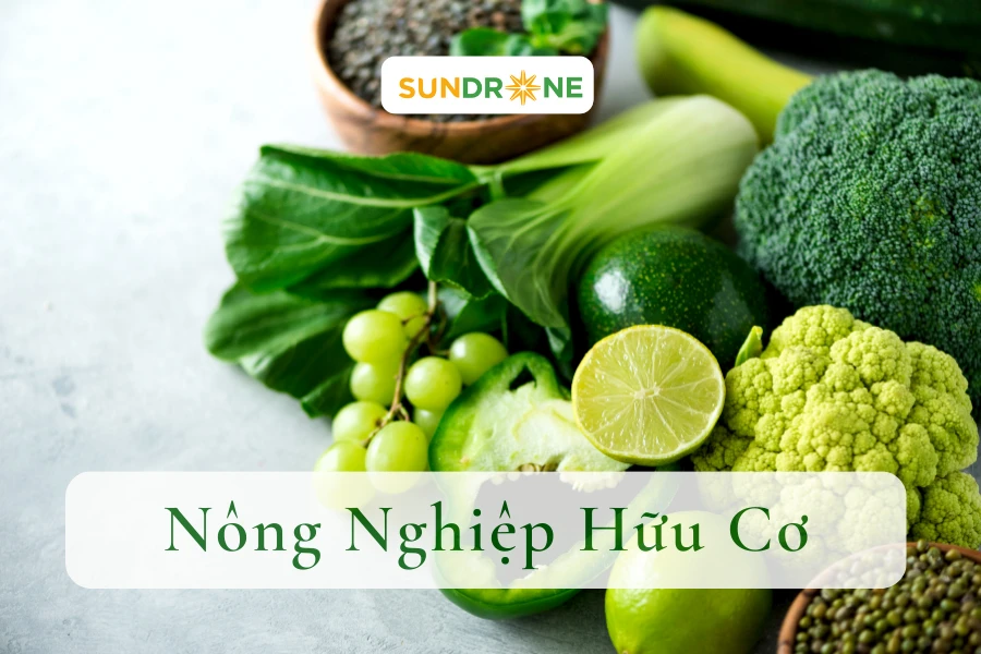 Nông nghiệp hữu cơ: Phương pháp canh tác hữu cơ hiệu quả