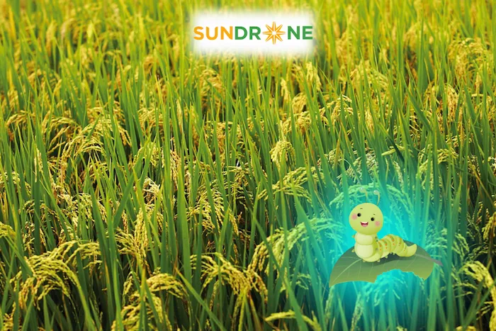 biện pháp phòng trừ sâu cuốn lá lúa loại nhỏ