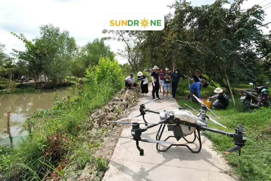 sundrone