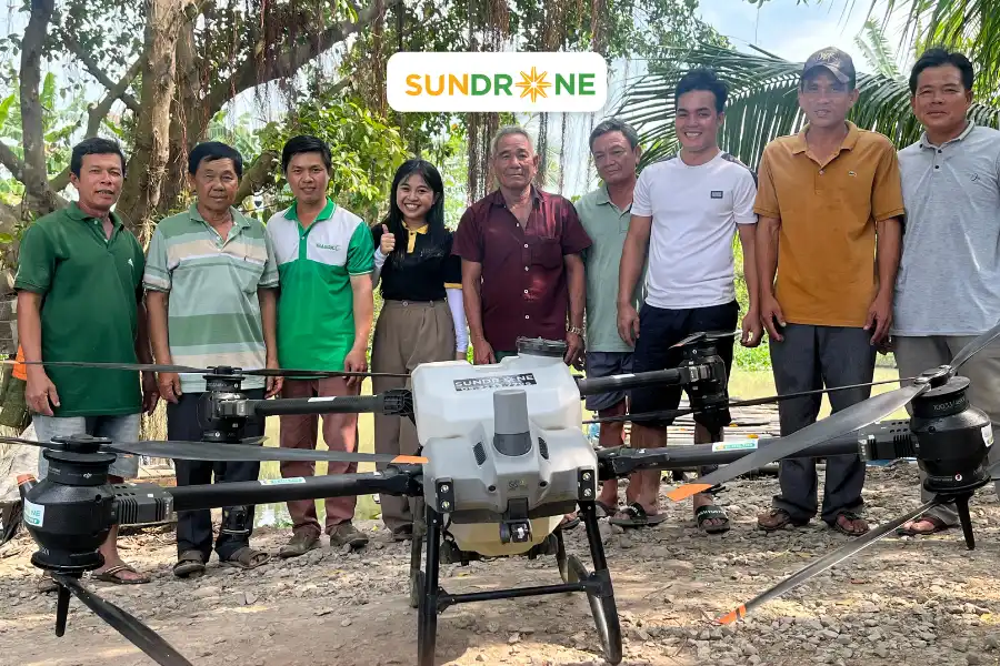 sundrone