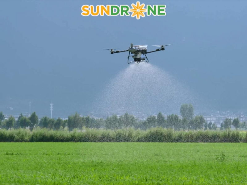 Phân tích lợi ích kinh tế và tính toán ROI
