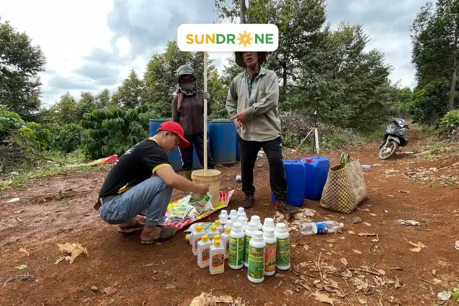 sundrone