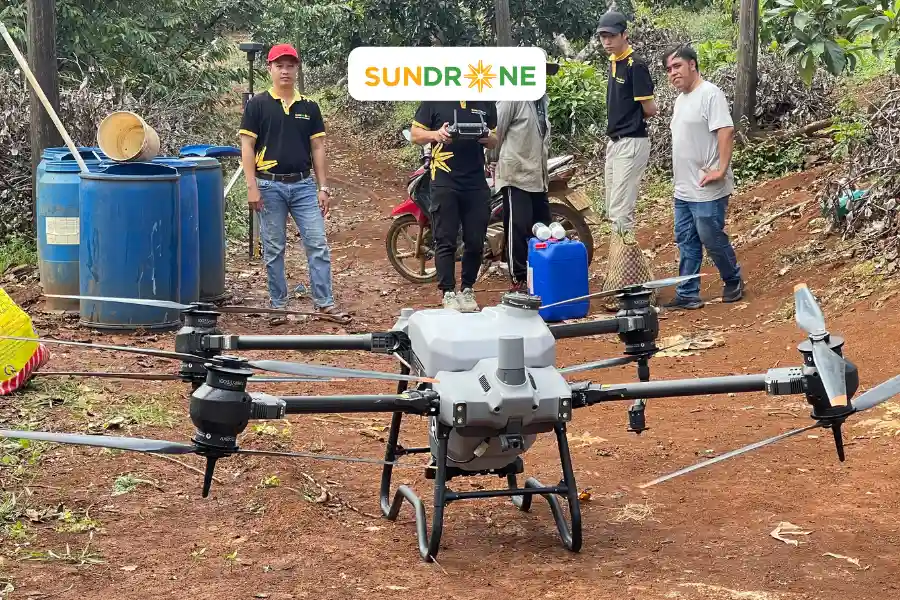 sundrone
